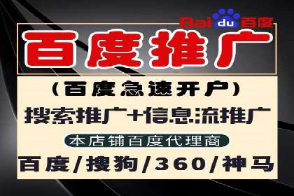 某某sem代运营公司：精准投放的背后策略